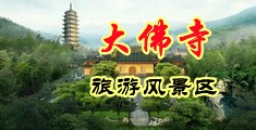 骚逼吃我大鸡巴视频网中国浙江-新昌大佛寺旅游风景区